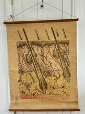 Vintage adam rouilly for sale  LEICESTER