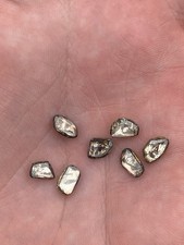 Seven loose foiled for sale  BRIGHTON