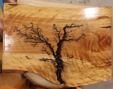 wood tree birch for sale wood tree birch for sale Enfield