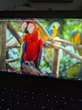 Usado, Razer RZ09-0196 Ver Descrição  comprar usado  Enviando para Brazil