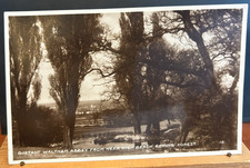 Vintage postcard waltham for sale  NEWTON ABBOT