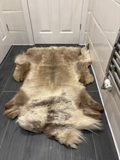 Genuine quality reindeer for sale  LEICESTER