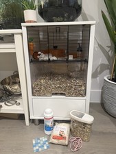 Omlet white gerbil for sale  EAST MOLESEY