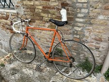 Bici colnago telaio usato  Senigallia