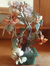 jade bonsai for sale  LEICESTER