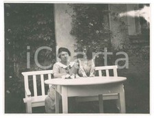 1920 italia cani usato  Milano