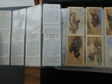 grandee cards for sale grandee cards for sale MELTON MOWBRAY