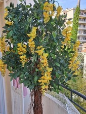 Glycine artificielle d'occasion  Cagnes-sur-Mer