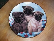 pug plates for sale  Franksville