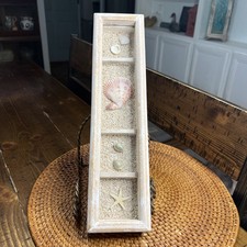 Sea shell art for sale  Wilmington