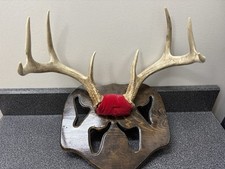 Vintage white tail for sale  Miles City