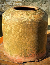 Antique terracotta rhubarb for sale  CAERNARFON