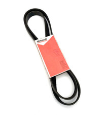 Cinghia servizi 1750mm usato  Treviso