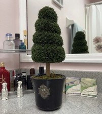Artificial spiral boxwood for sale  Cockeysville