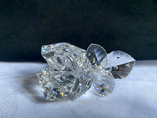 Swarovski rose 174956 for sale  NEWTON ABBOT