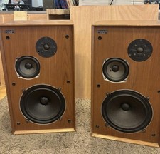 Celestion ditton usato  Lastra a Signa