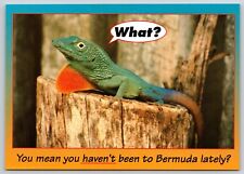 Postcard jamaican turquoise for sale  Wynantskill
