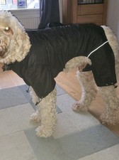 Winter waterproof warm for sale  NORTHAMPTON