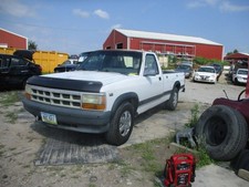 Dodge dakota 1995 for sale  Bloomfield