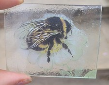 Stained glass bumble for sale  BATTLE