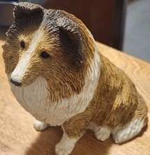 Sandicast shetland sheepdog for sale  Kalispell