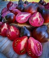 Tomatensamen russische sorte gebraucht kaufen  Beilngries