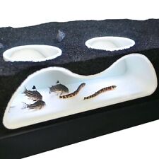 Multifunktional aquarium unter gebraucht kaufen  Deutschland