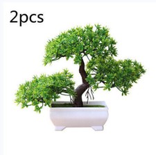 Pièces bonsaï arbre d'occasion  France