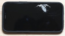 Apple iPhone 12 Mini – Totalmente funcional com tela rachada - Verizon comprar usado  Enviando para Brazil