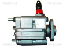 Triscan hydraulikpumpe lenkung gebraucht kaufen  Oberlungwitz