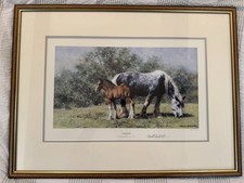 David shepherd summertime for sale  LEEDS