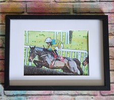 Grand national 2024 for sale  NORMANTON