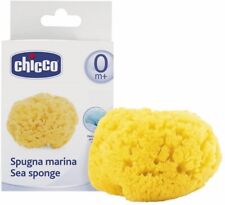 Chicco spugna marina usato  Italia