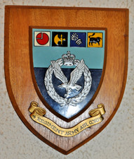 Regiment army air for sale  WISBECH