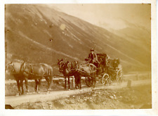 Attelage chevaux calèche d'occasion  Pagny-sur-Moselle