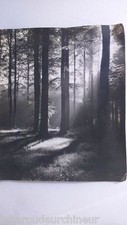 Art photography. art d'occasion  Expédié en Belgium