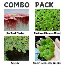 Floating plant combo for sale  Terrell