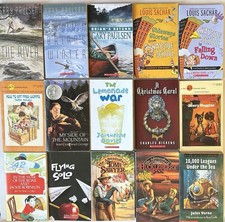Lot chapter books for sale  Bandon