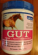 Gut powder horses for sale  Chattanooga