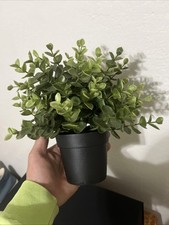 Ikea faux plant for sale  Lodi