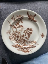 Longwy botanical insects d'occasion  Expédié en Belgium