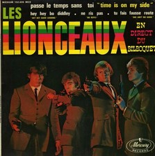 Lionceaux hey hey d'occasion  Tonnay-Charente