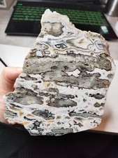 Ceanjaspis wow mineralien gebraucht kaufen  Creußen