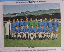 Chelsea typhoo tea for sale  SPALDING