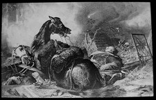 CAVALO DE GUERRA POR SIR EDWIN LANDSEER C1890 ANTIGO VITORIANO Lanterna Mágica Slide comprar usado  Enviando para Brazil