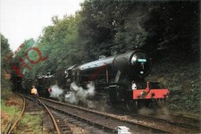 Picture postcard watercress for sale Picture postcard watercress for sale  NEWCASTLE UPON TYNE