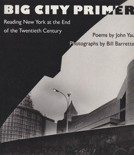 City primer reading gebraucht kaufen  Sibbesse