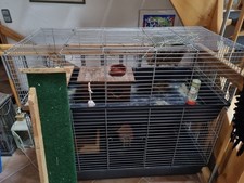 Nagerkäfig etagen plus gebraucht kaufen  Schüller