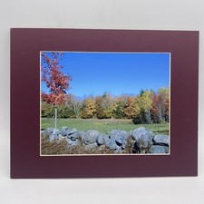 Matted landscape photo for sale  Victoria