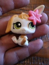 Pet shop lps d'occasion Pet shop lps d'occasion  Grasse